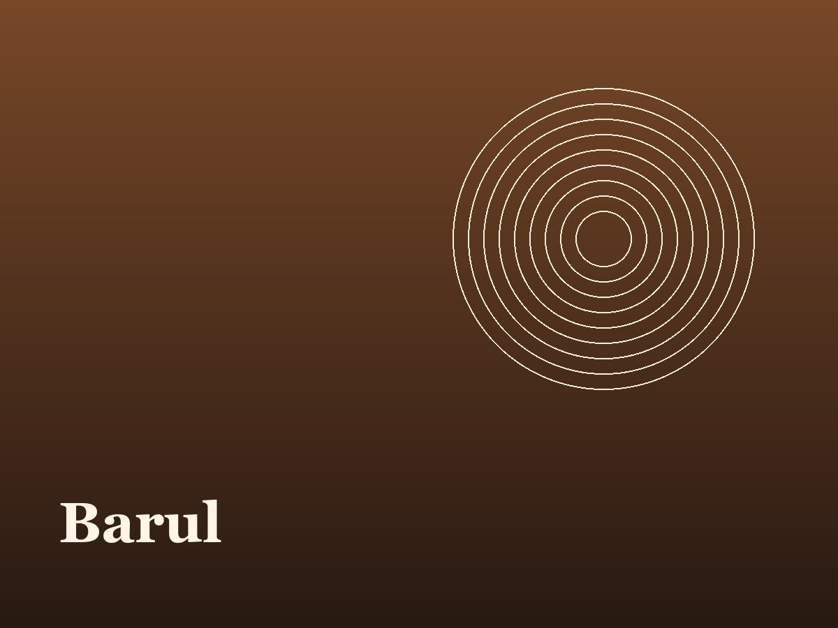Barul